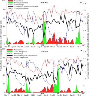 Soybean-Maize Off-season Double Cropping System as Affected by Maize Intercropping with Ruzigrass and Nitrogen Rate