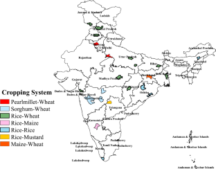 A Composite Index to Assess the Climate-Carbon-Yield-Sustainability of Cereal Based Cropping System