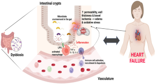 Salt and Gut Microbiota in Heart Failure.