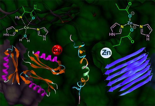 Molecular Insights into Cu/Zn Metal Response to the Amyloid β-Peptide (1–42)