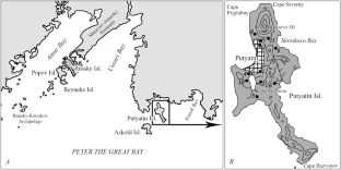 Ecological-Faunistic Complex of Ixodid Tick Species (Parasitiformes, Ixodidae) on Putyatin Island (Primorskii Territory)