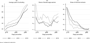 Wage inequality dynamics in Turkey