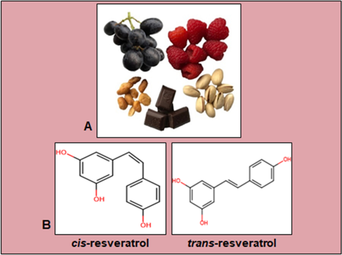 Resveratrol as sensitizer in colorectal cancer plasticity.