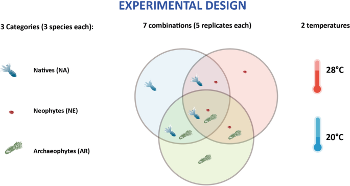 Germination performance of alien and native species could shape community assembly of temperate grasslands under different temperature scenarios