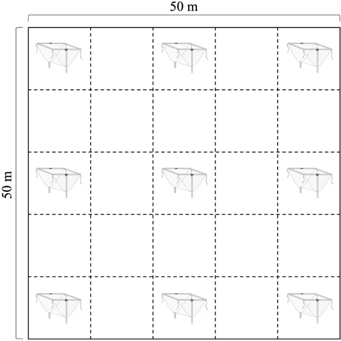 Pattern of Litterfall Production Throughout a Tropical Humid Forest Chronosequence