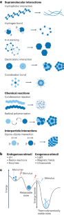 In situ self-assembly for cancer therapy and imaging