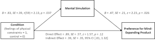 From physical space to mental space: feelings of being physically constrained increase consumer preference for mind-expanding products