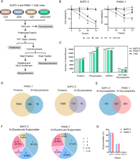 Integrative proteomics and n-glycoproteomics reveal the synergistic anti-tumor effects of aspirin- and gemcitabine-based chemotherapy on pancreatic cancer cells.