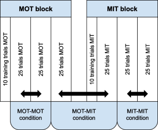 Gaze coherence reveals distinct tracking strategies in multiple object and multiple identity tracking.