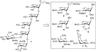 Straightforward synthesis of the hexasaccharide repeating unit of the O-specific polysaccharide of Salmonella arizonae O62.