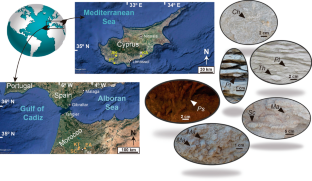 Multi-technique comparison to assess the effect of bioturbation on porosity: a study case for reservoir quality in contourites