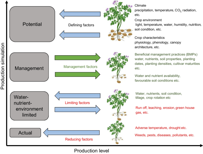 Identifying Key Crop Growth Models for Rain-Fed Potato (Solanum tuberosum L.) Production Systems in Atlantic Canada: A Review with a Working Example