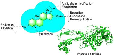 Guggulsterone – a potent bioactive phytosteroid: synthesis, structural modification, and its improved bioactivities