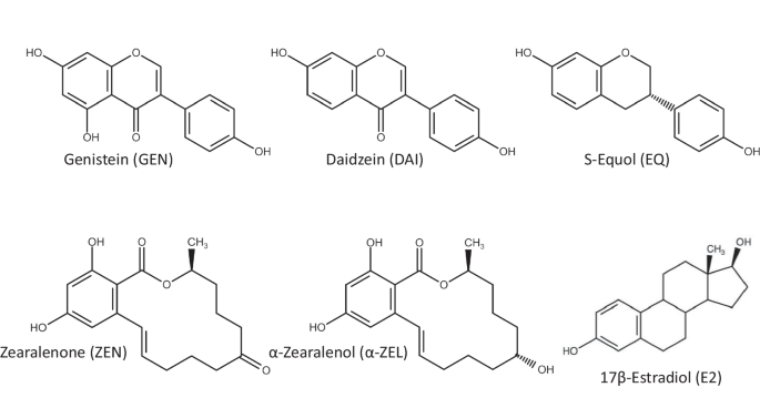 Estrogen receptor α interaction of zearalenone and its phase I metabolite α-zearalenol in combination with soy isoflavones in hERα-HeLa-9903 cells.