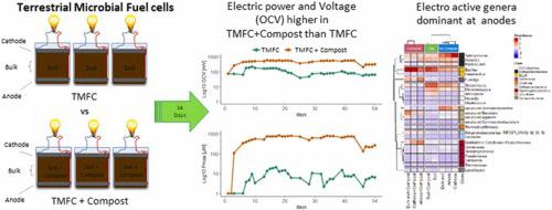 Effects of municipal waste compost on microbial biodiversity and energy production in terrestrial microbial fuel cells