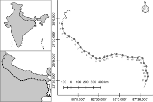 Local and species contribution to the beta diversity and rarity of riparian spider community of the Ganga River, India