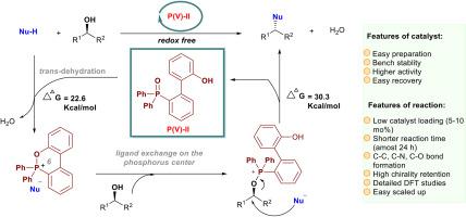 Development of a more efficient catalyst for the redox-neutral organocatalytic mitsunobu reaction by DFT-guided catalyst design