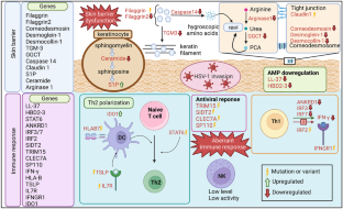 The Genetics of Eczema Herpeticum.