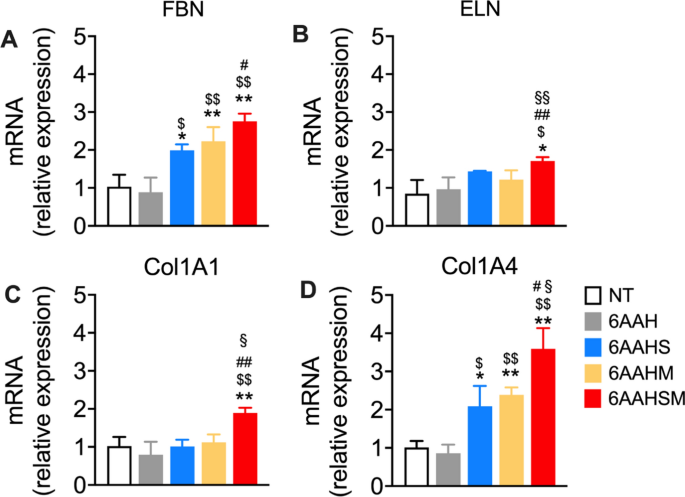 An amino acid mixture, enriched with Krebs cycle intermediates, enhances extracellular matrix gene expression in cultured human fibroblasts