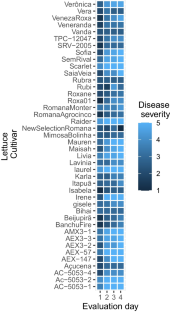 Identification of stable sources of rate-reducing resistance to Septoria lactucae in lettuce germplasm