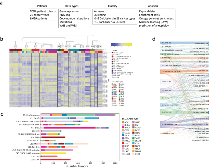 Tumor collagens predict genetic features and patient outcomes.