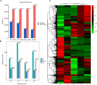 Dynamic Changes of Transcriptome and Metabolites During Ripening of Alpinia Oxyphylla Fruit (AOF)