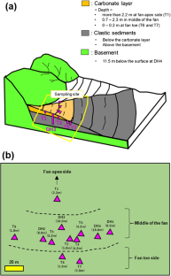 Characteristics and Formation Pathways of Iron- and Magnesium-Silicate-Hydrates and Smectites Under Natural Alkaline Conditions