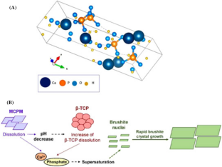 Metal-Doped Brushite Cement for Bone Regeneration