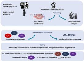 Muscle oxygen supply impairment during maximal exercise in patients undergoing dialysis therapy