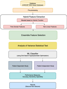 Improved Patient-Independent Seizure Detection Using Hybrid Feature Extraction Approach with Atomic Function-Based Wavelets