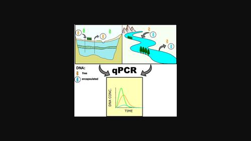 Artificial DNA in hydrology