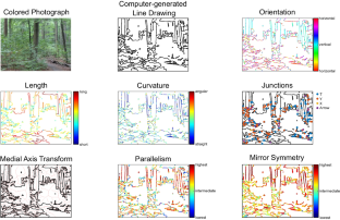 Memorability of line drawings of scenes: the role of contour properties.