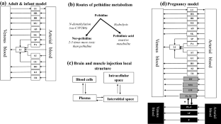 The Analysis of Pethidine Pharmacokinetics in Newborn Saliva, Plasma, and Brain Extracellular Fluid After Prenatal Intrauterine Exposure from Pregnant Mothers Receiving Intramuscular Dose Using PBPK Modeling.