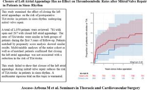 Closure of Left Atrial Appendage Has no Effect on Thromboembolic Rates after Mitral Valve Repair in Patients in Sinus Rhythm