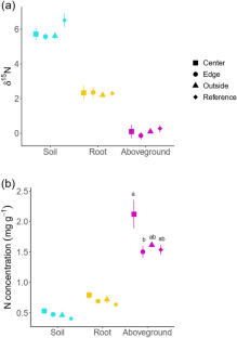 Effects of an actinorhizal shrub on the nitrogen status of the soil and neighboring plants in an alpine meadow of the Tibetan Plateau