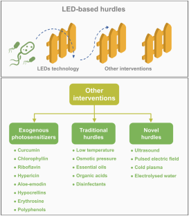 Recent Advances in the Application of LEDs-Based Hurdle Technology for Enhancing Food Safety