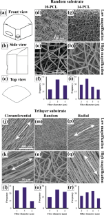 Trilayer anisotropic structure versus randomly oriented structure in heart valve leaflet tissue engineering