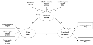 Testing a Transdiagnostic Model Including Distal and Proximal Risk Factors for Depression and Anxiety