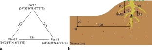 Bacterial diversity and community structure in the rhizosphere of the halophyte Halocnemum strobilaceum in an Algerian arid saline soil