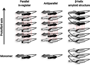 Amyloids and prions in the light of evolution.