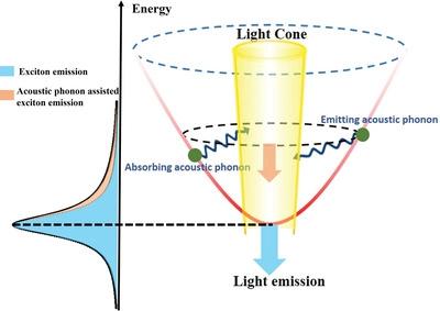 Hot exciton effect in photoluminescence of monolayer transition metal dichalcogenide