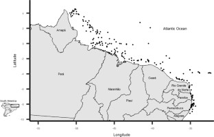 Hydroids (Cnidaria, Hydrozoa) from the Northern and North-eastern coast of Brazil: addressing knowledge gaps in neglected regions