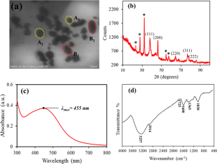 Green synthesis of silver nanoparticles from discarded shells of velvet tamarind (Dialium cochinchinense) and their antimicrobial synergistic potentials and biofilm inhibition properties