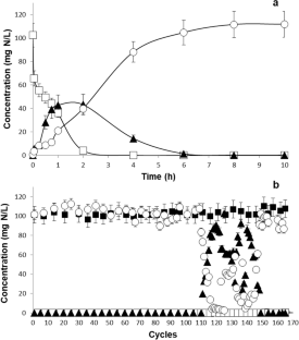 Physiological adaptation and population dynamics of a nitrifying sludge exposed to ampicillin.