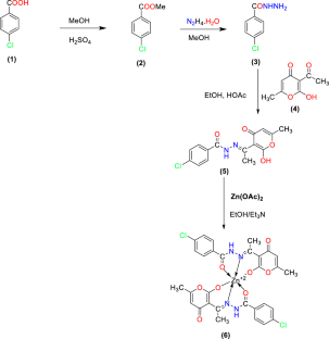 Zn (II) octahedral complex with new ketimine ligand: design, synthesis and single-crystal studies