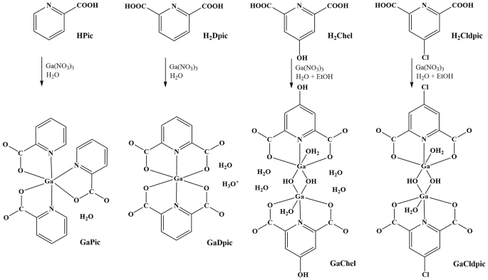 Ga(III) pyridinecarboxylate complexes: potential analogues of the second generation of therapeutic Ga(III) complexes?