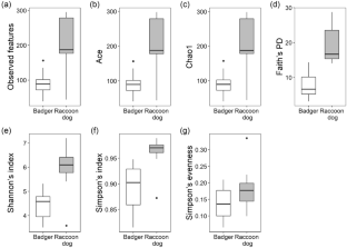 Distinctly different gut microbiota in Japanese badgers and Japanese raccoon dogs despite sharing similar food habits and environments