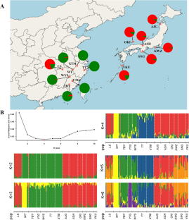 Genetic diversity, genetic differentiation and demographic history of Cryptomeria (Cupressaceae), a tertiary relict plant in East Asia based on RAD sequencing