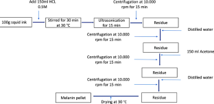 Protective effect of melanin nanoparticles created from squid ink against irradiation on human keratinocytes