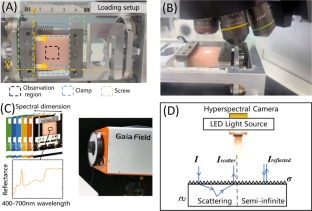 Research on Strain Modulation of Spectral Reflectance in Soft Materials